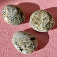 Load image into Gallery viewer, Ocean Jasper Palmstone