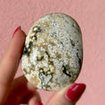 Load image into Gallery viewer, Ocean Jasper Palmstone