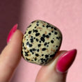 Load image into Gallery viewer, Dalmatian Jasper Tumble