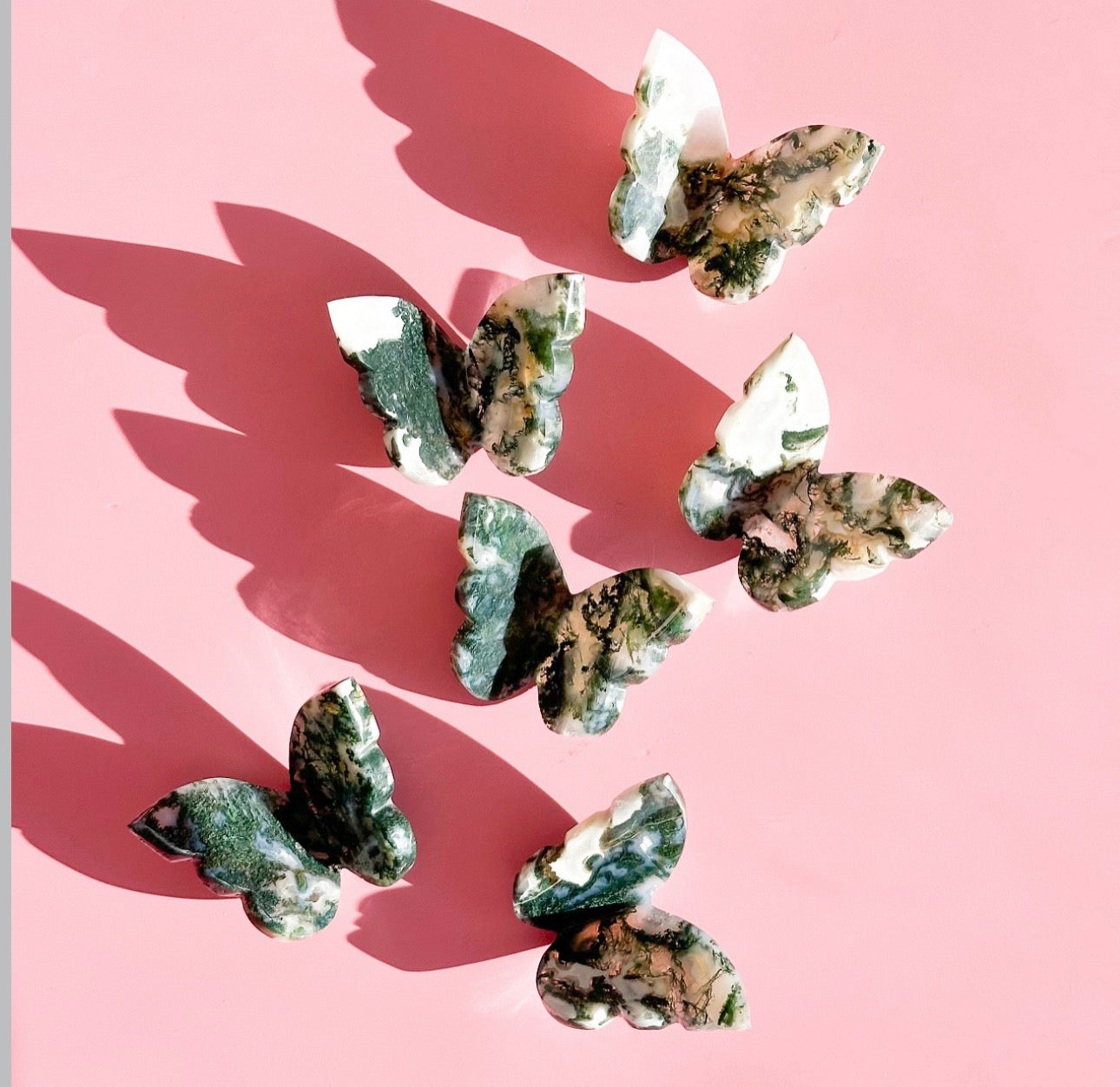 Butterflies