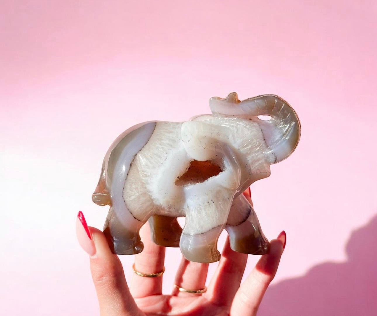 Animal Carving