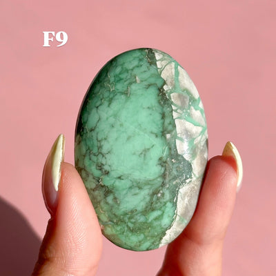 Lucin Variscite Palmstone