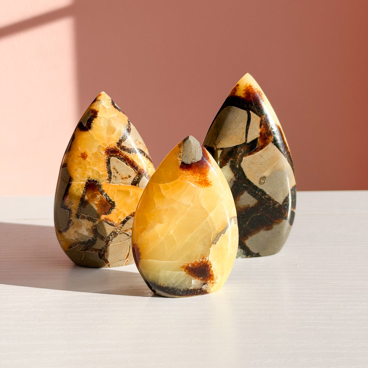 Septarian Freeform