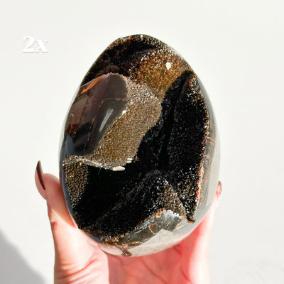 Septarian Nodule Freeforms