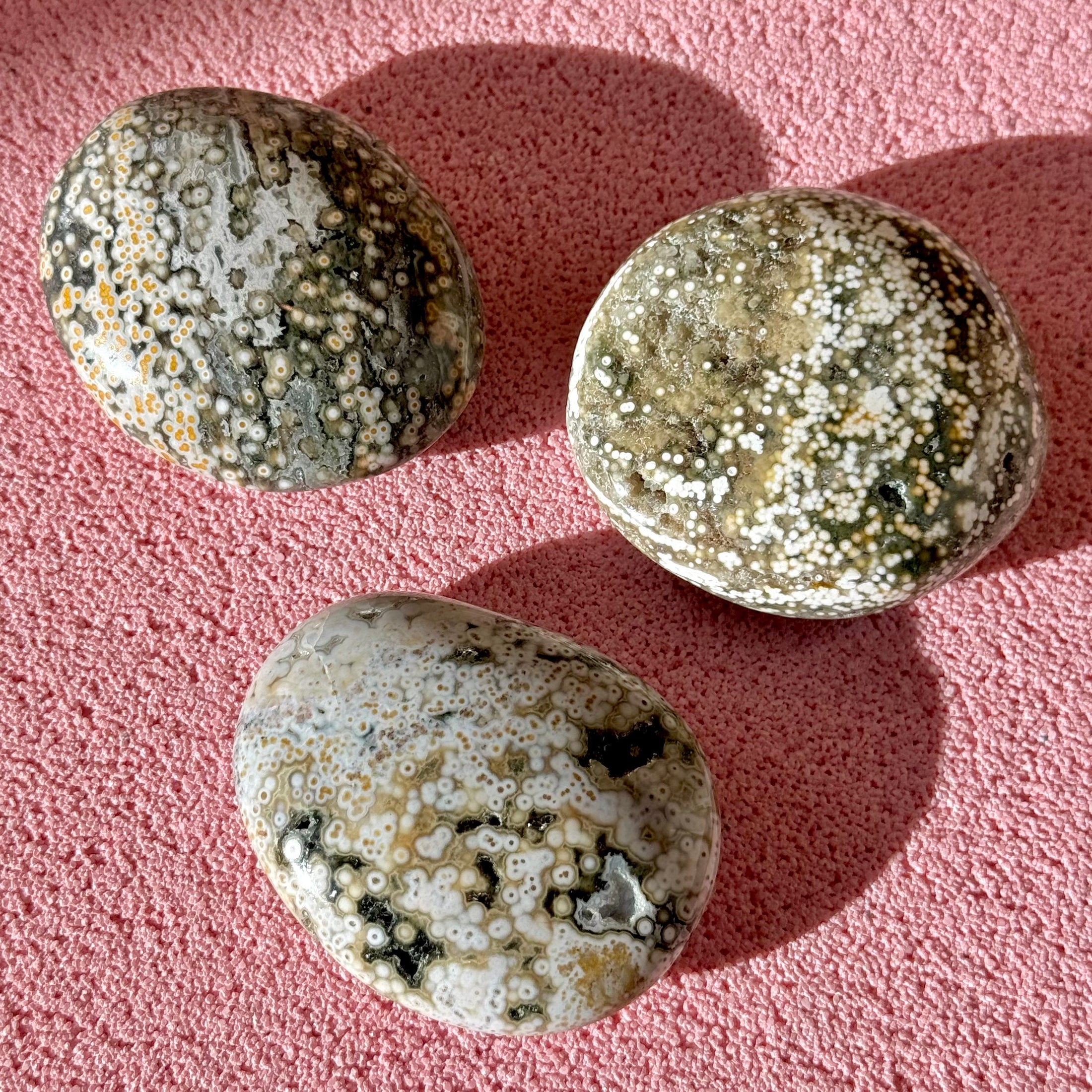 Ocean Jasper Palmstone
