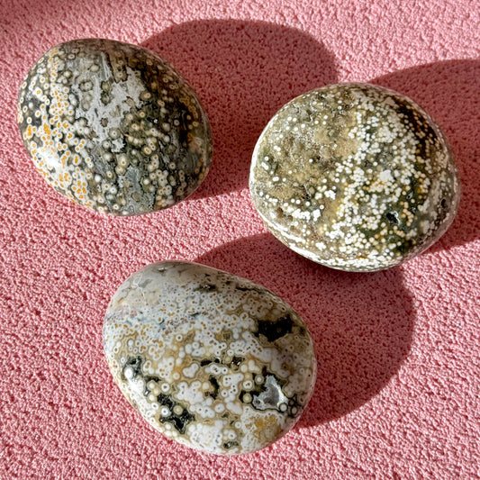 Ocean Jasper Palmstone