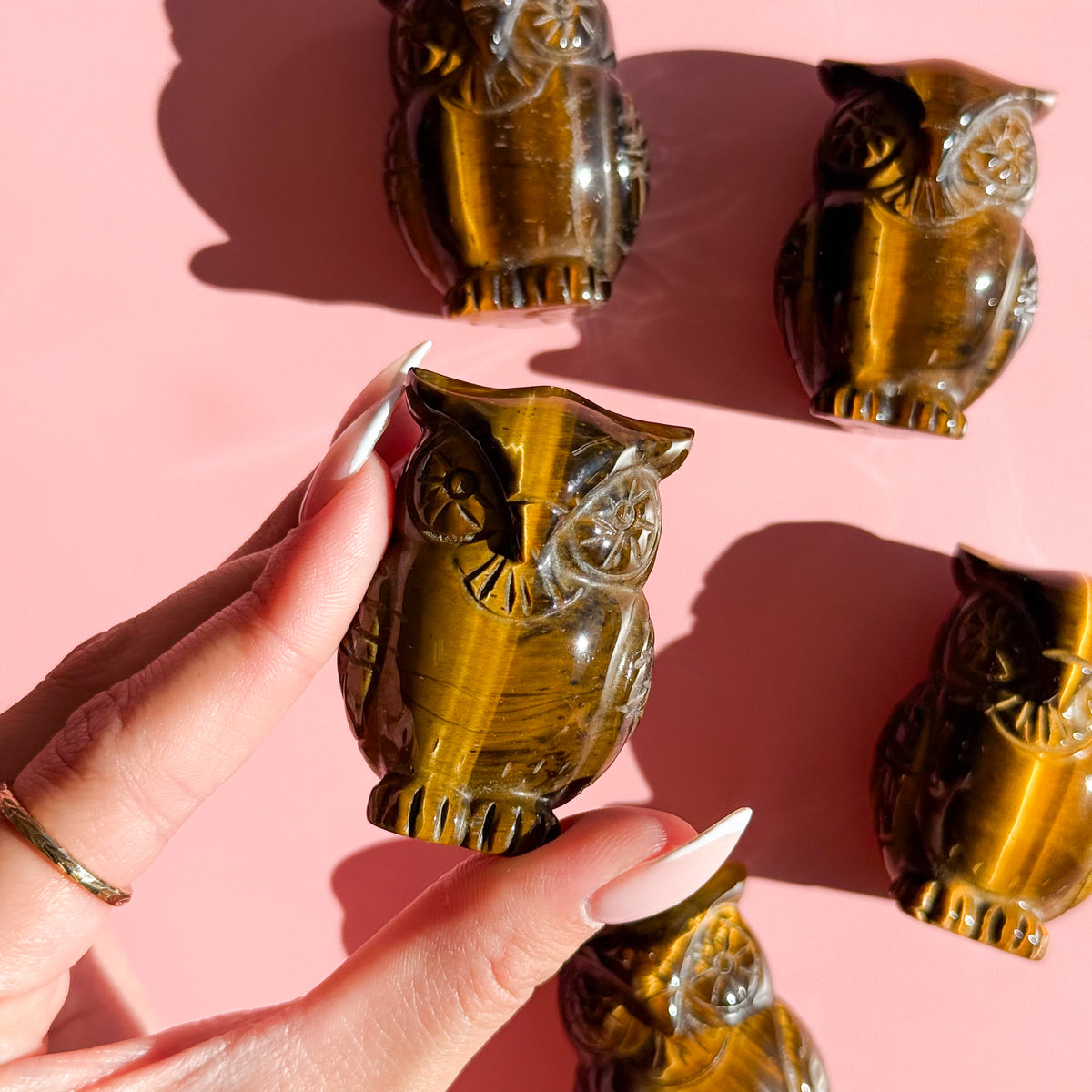 Tiger Eye Owl