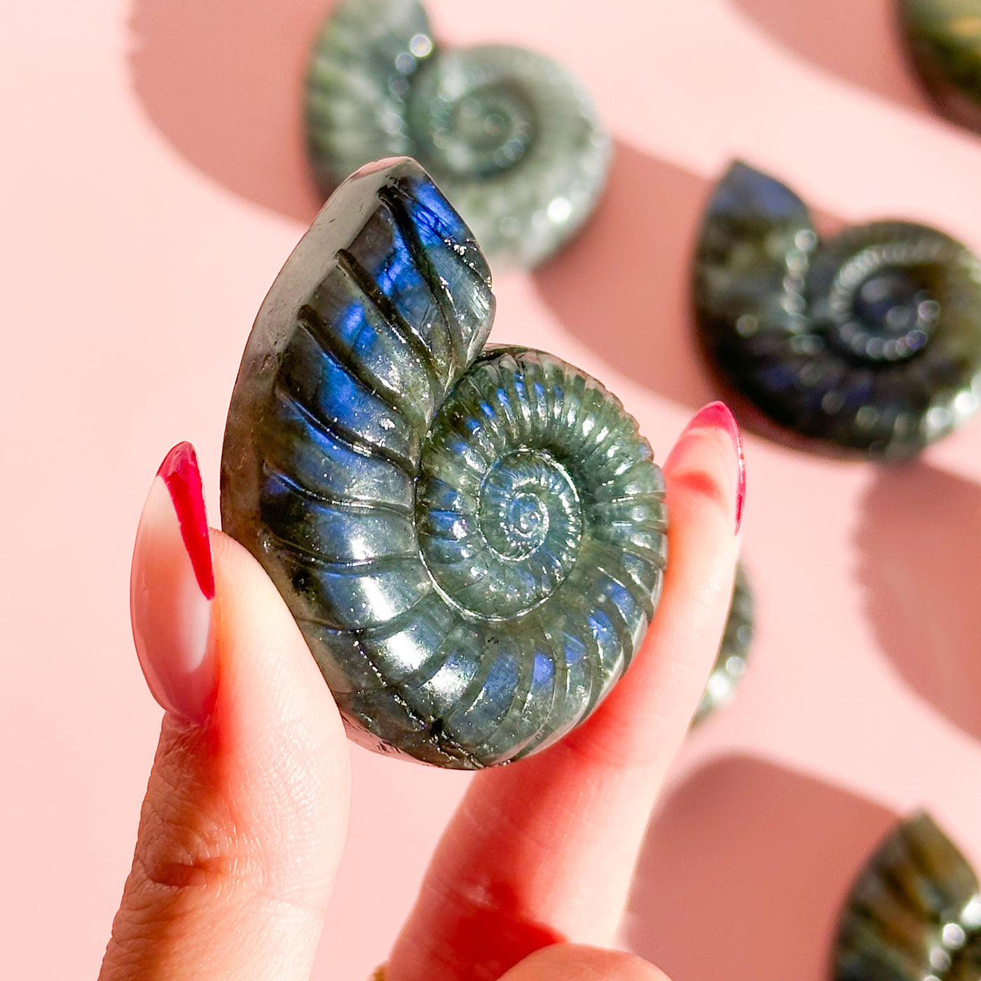 Labradorite Seashell