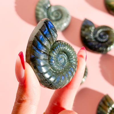 Labradorite Seashell