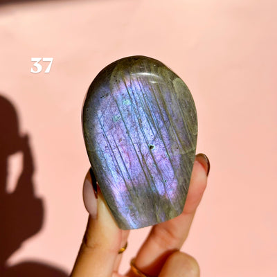 Labradorite Freeforms
