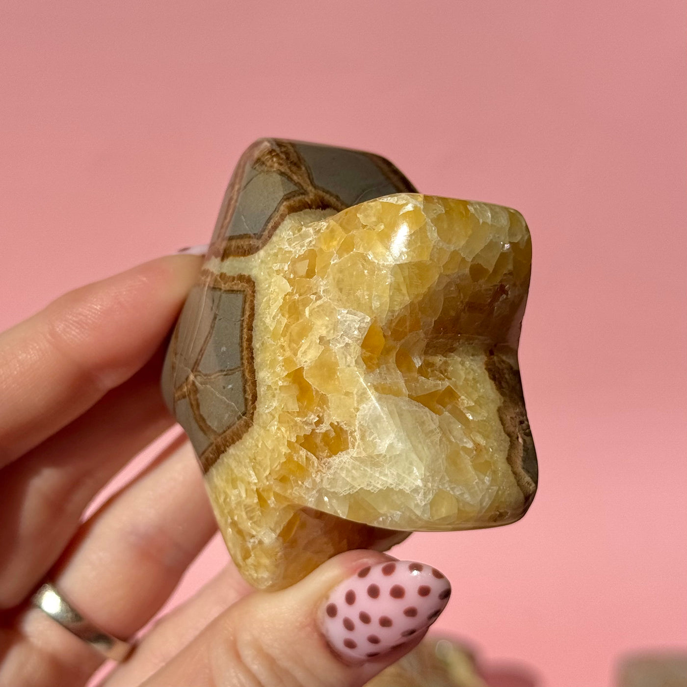 Septarian Puffy Star