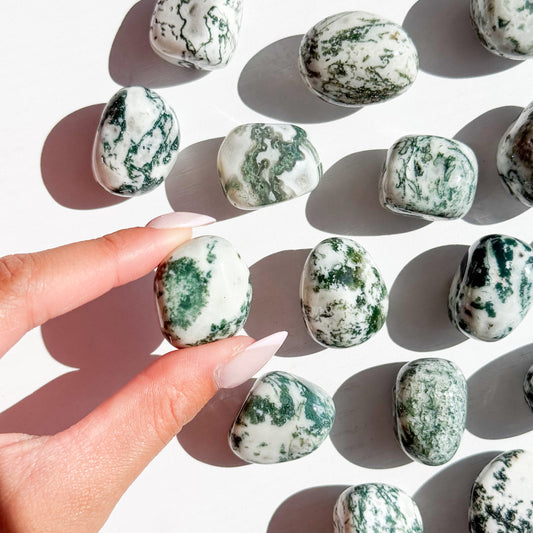 Tree Agate Tumble