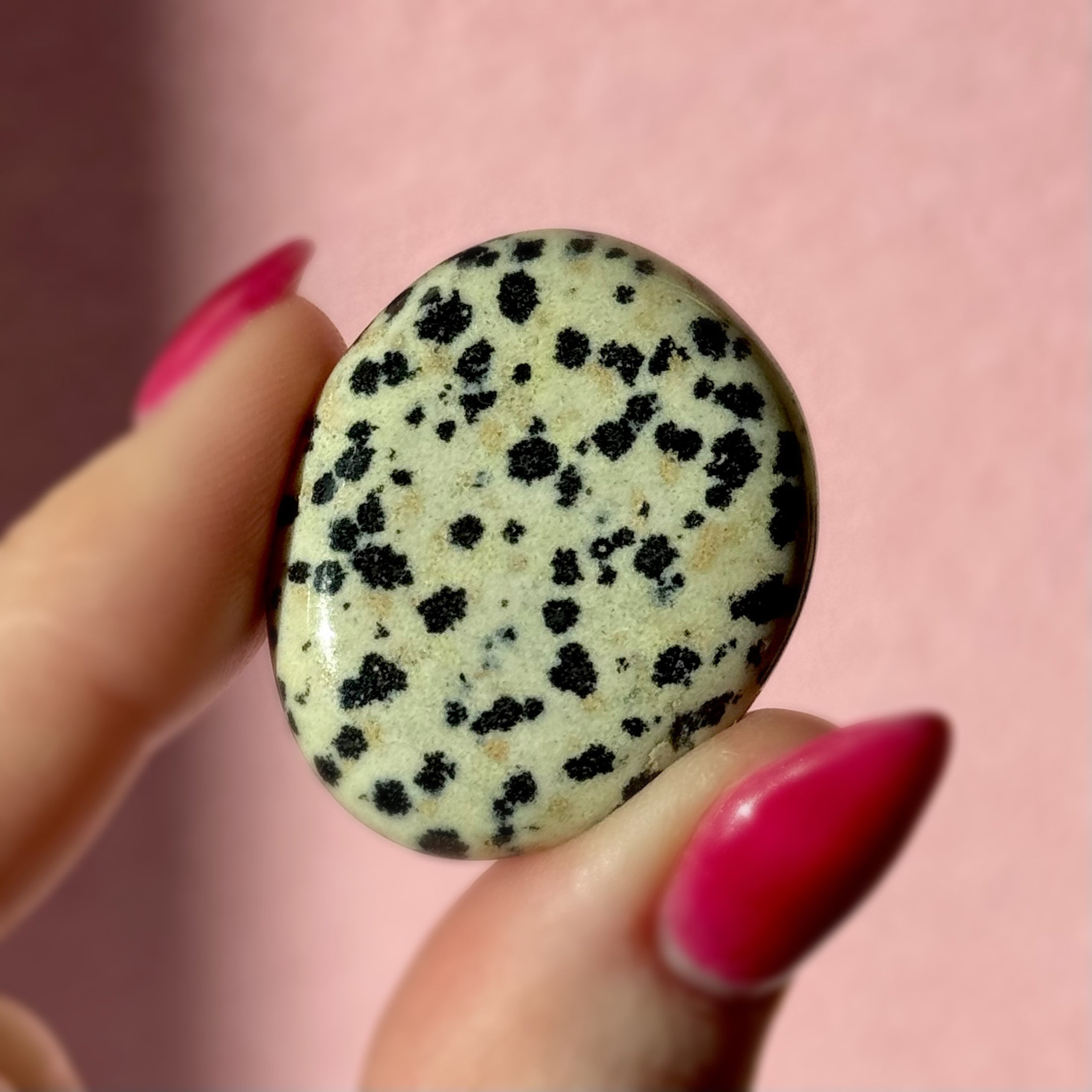 Dalmatian Jasper Mini Flat Stone