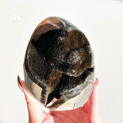 Septarian Nodule Freeforms