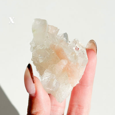Apophyllite Cluster