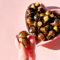 Load image into Gallery viewer, Tiger Eye Mushroom
