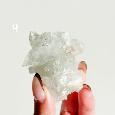 Apophyllite Cluster