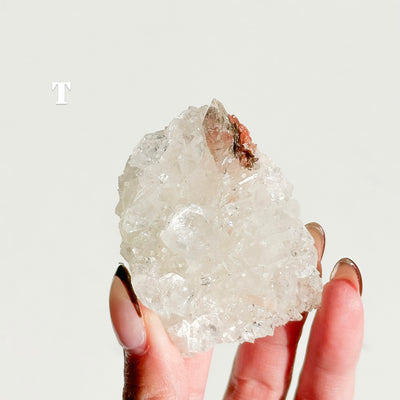 Apophyllite Cluster