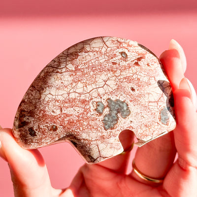 Birds Eye Rhyolite Bear