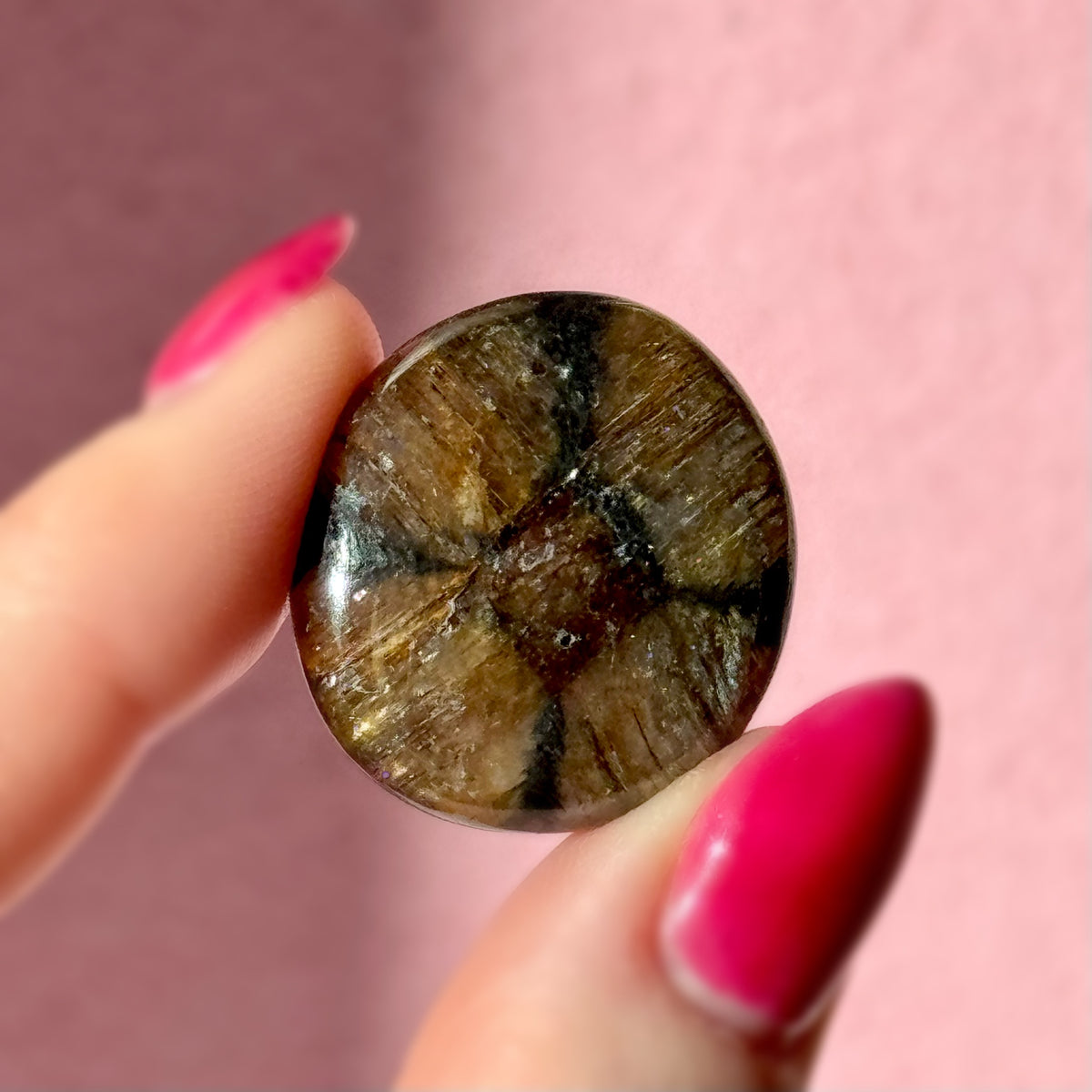 Chiastolite plate polie miniature