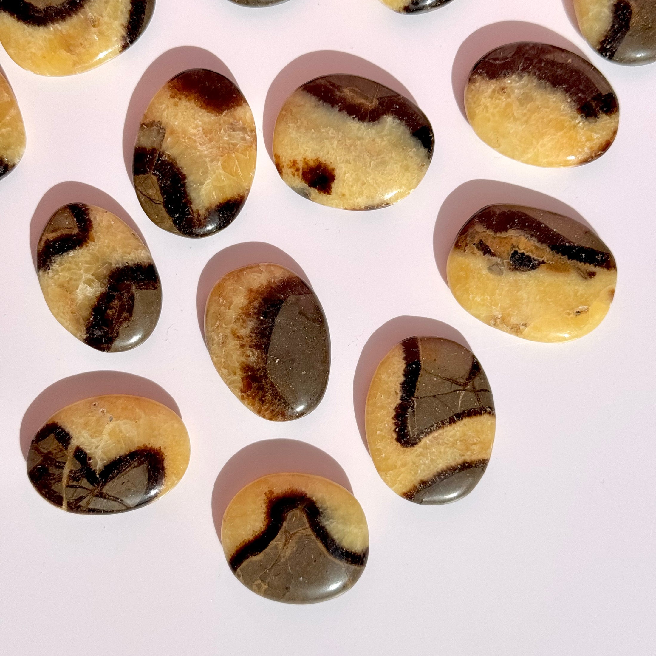 Septarian Flat Stone