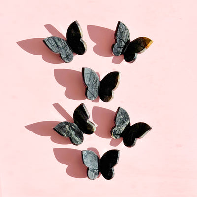 Picasso Jasper Butterfly
