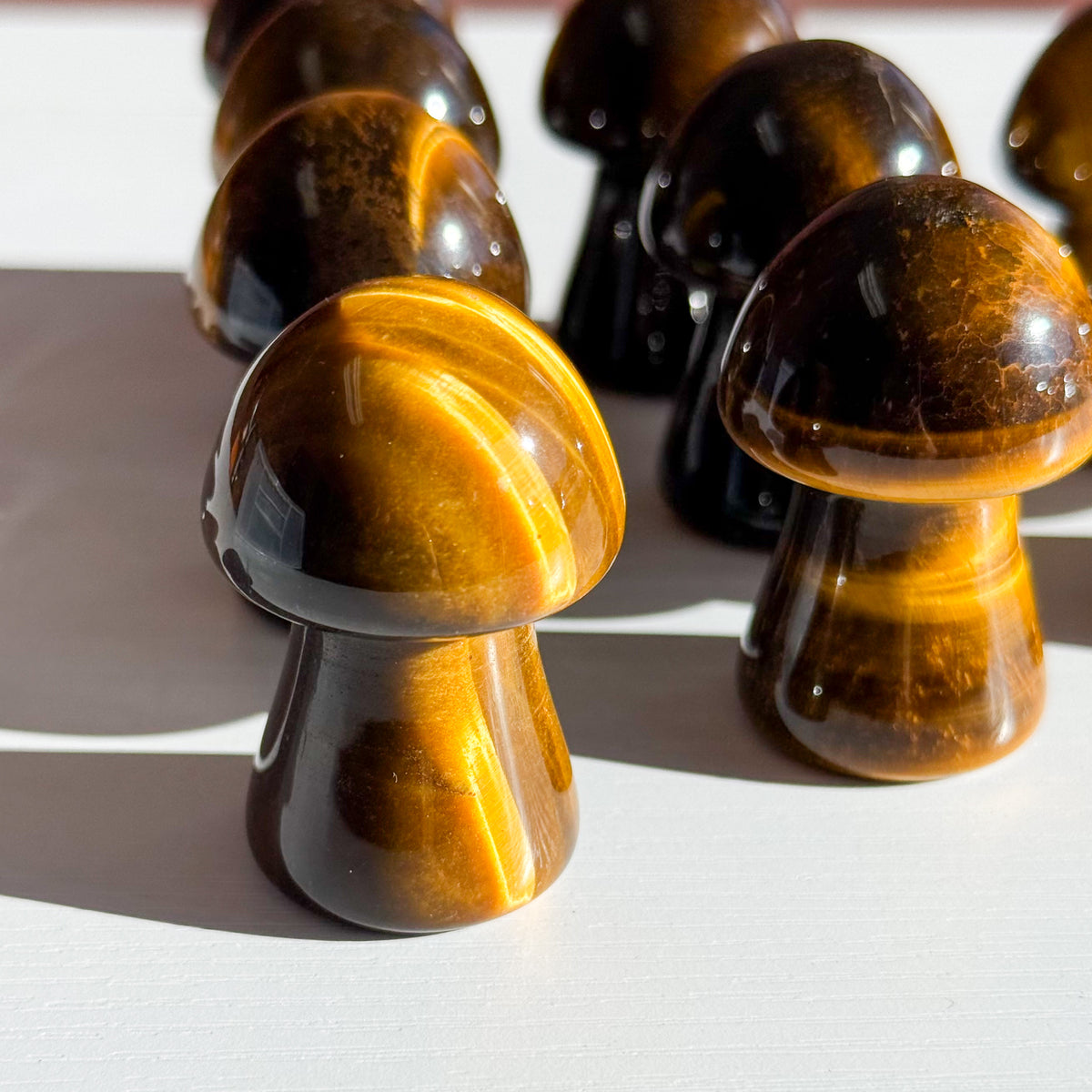 Tiger Eye Mushroom