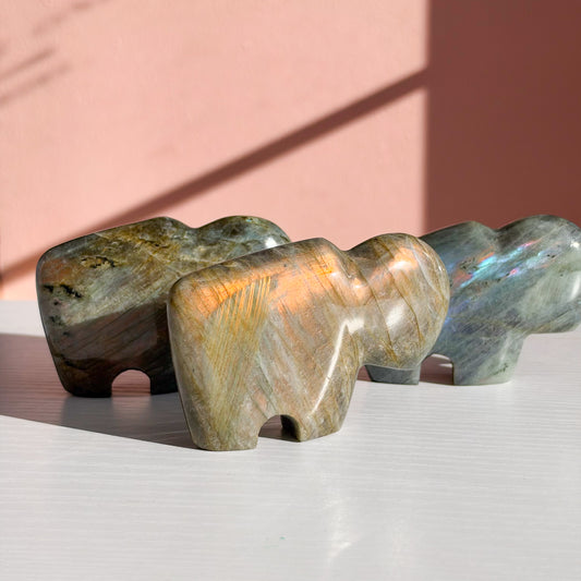 Labradorite Buffalo