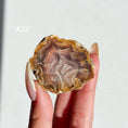 Load image into Gallery viewer, Agate Geode
