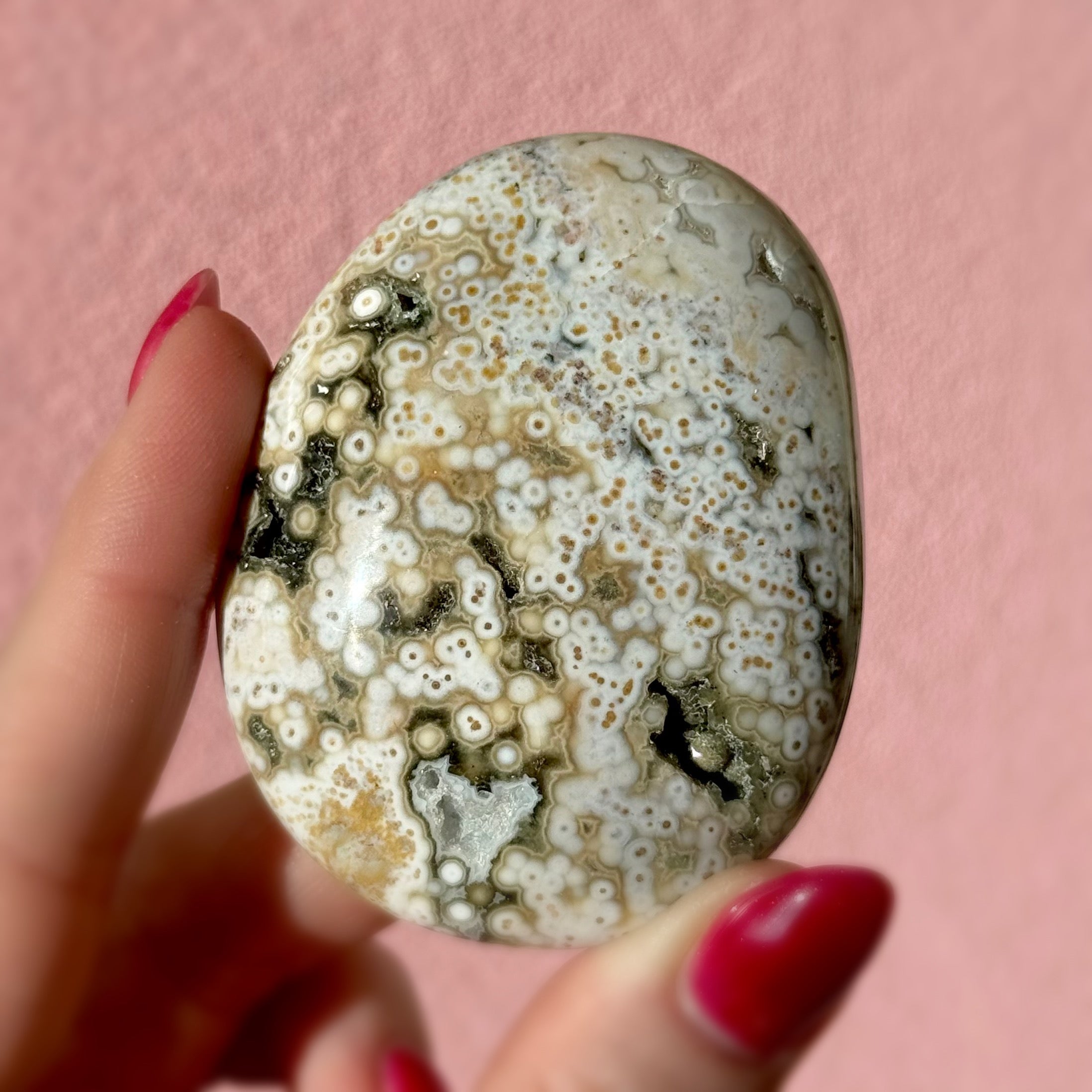 Ocean Jasper Palmstone