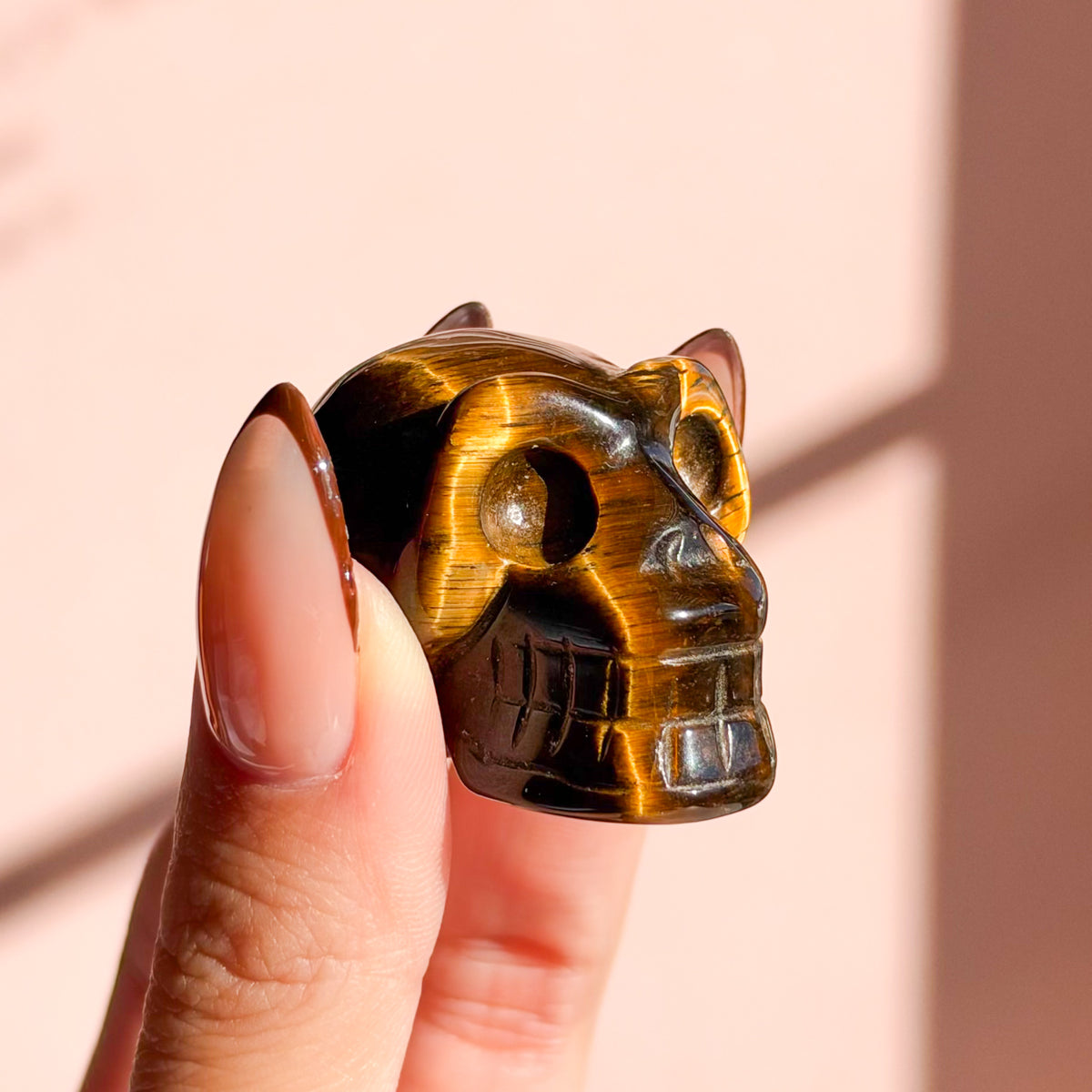 Tiger Eye Skull