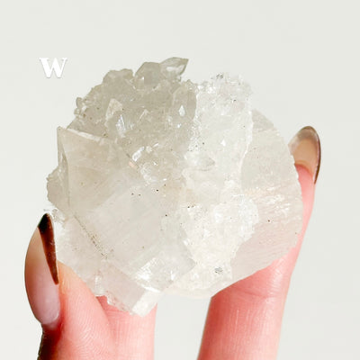Apophyllite Cluster