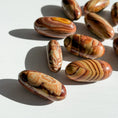 Load image into Gallery viewer, Picture Jasper Lingam
