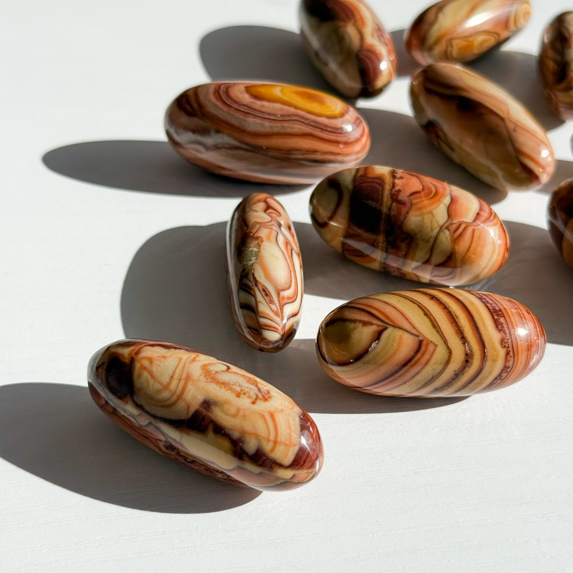 Picture Jasper Lingam