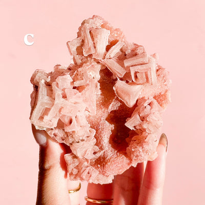 XL Pink Halite Cluster