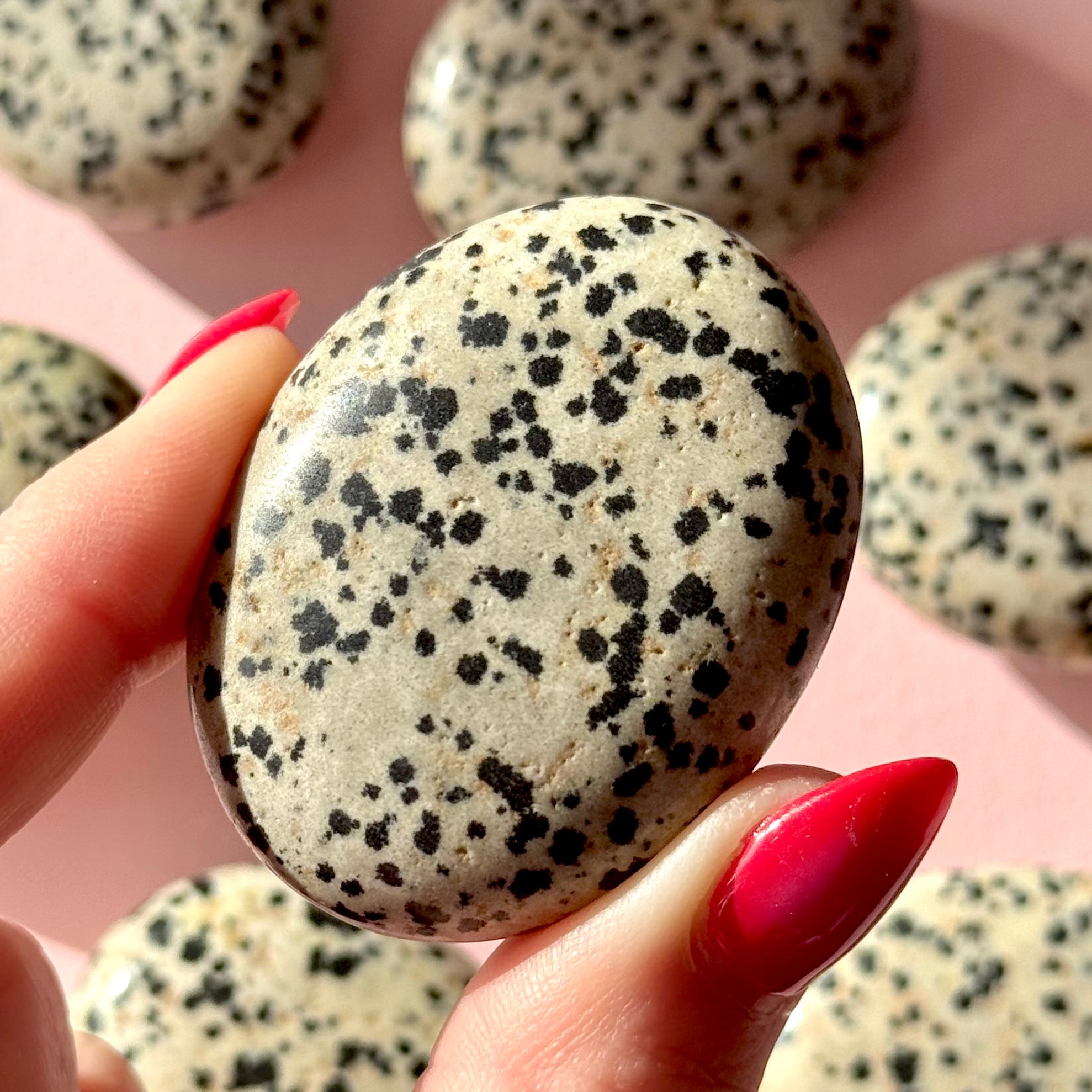 Dalmatian Jasper Small Palmstone