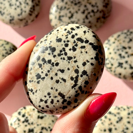 Dalmatian Jasper Small Palmstone