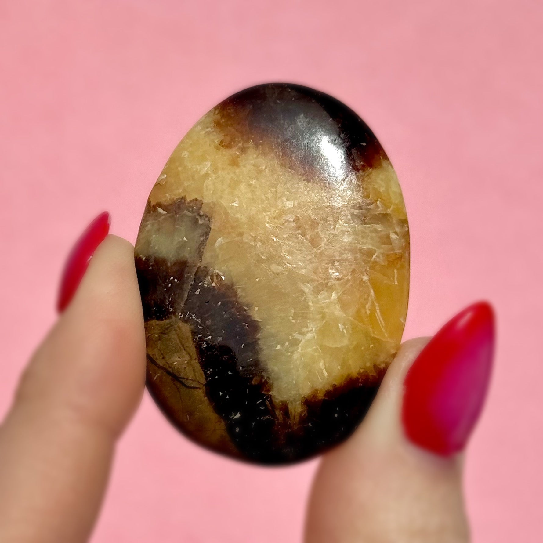 Septarian Flat Stone