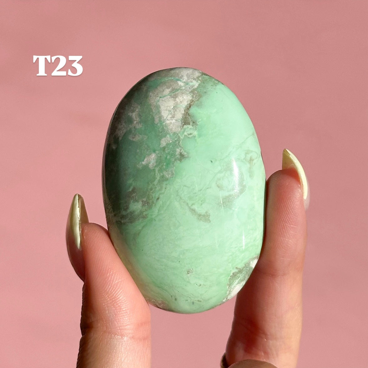 Lucin Variscite Palmstone