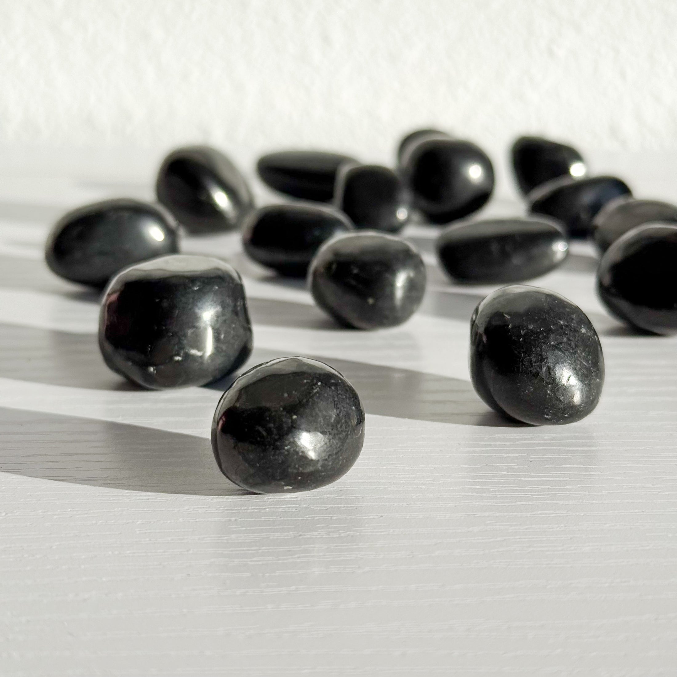 Shungite Tumble