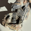 Load image into Gallery viewer, Picasso Jasper Birds
