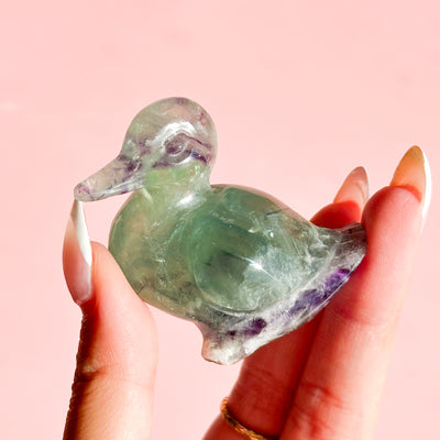 Fluorite Duck