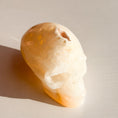 Cargar la imagen en la vista de la galería, Agate Skull
