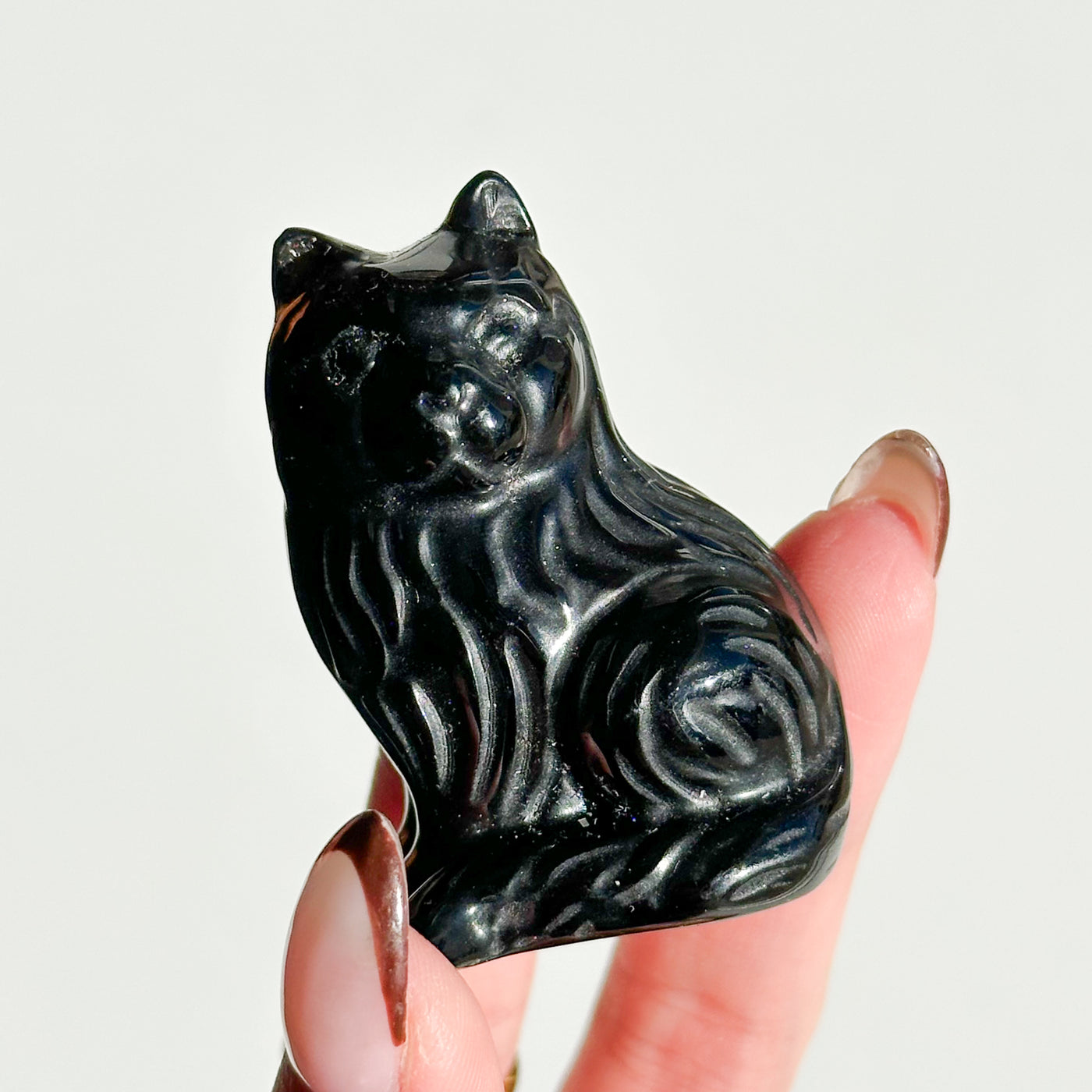 Black Obsidian Cat
