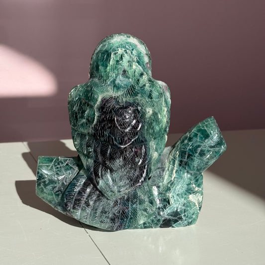 Fluorite Owl