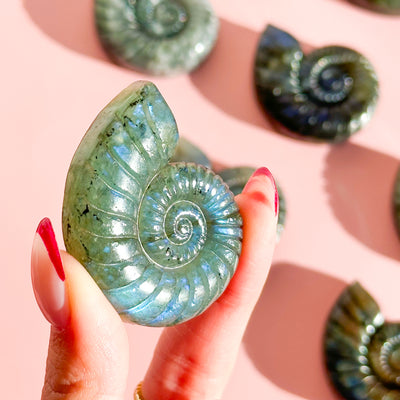 Labradorite Seashell