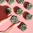 Load image into Gallery viewer, Dalmatian Jasper Rose
