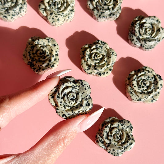 Dalmatian Jasper Rose