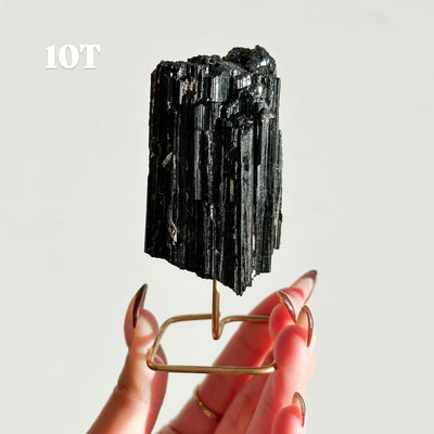 Black Tourmaline on Stand