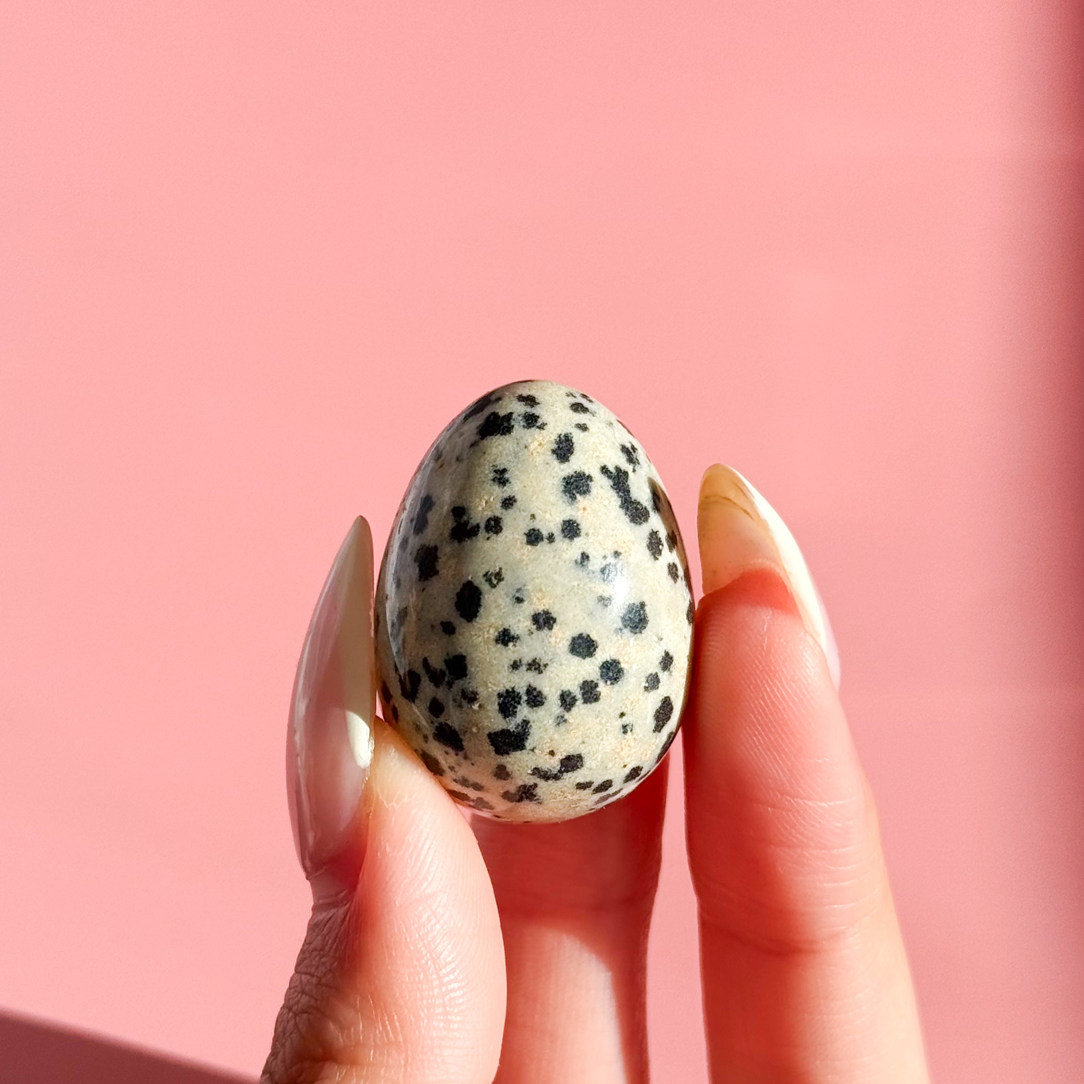 Dalmatian Jasper Mini Egg